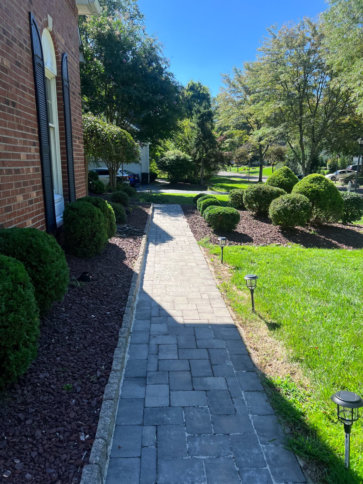 Neatly trimmed shrubs lining a paver walkway