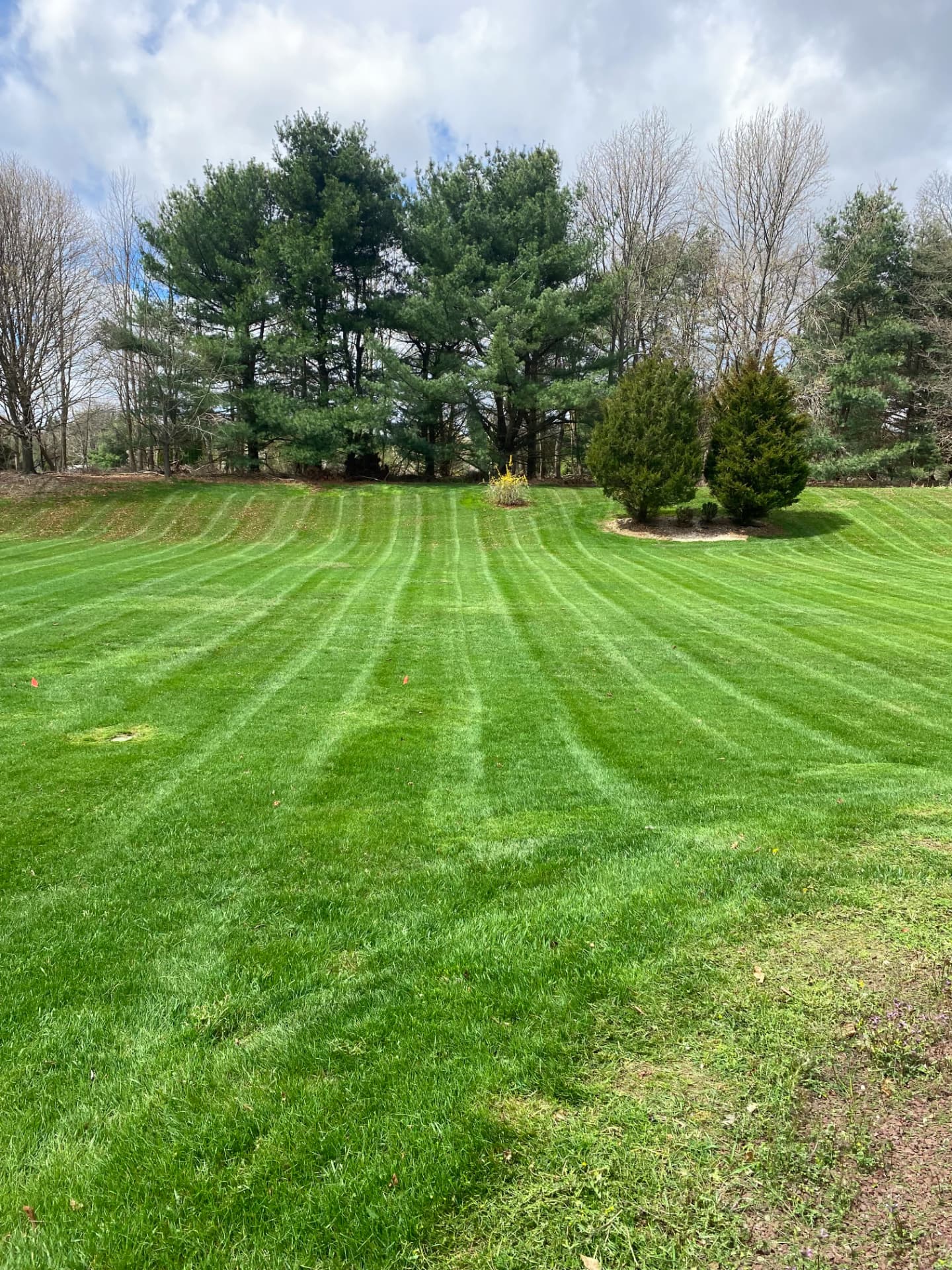 Freshly mowed lawn with clean striping