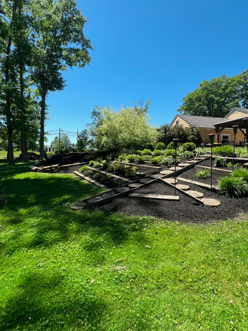Terraced backyard beds with dark mulch and plantings